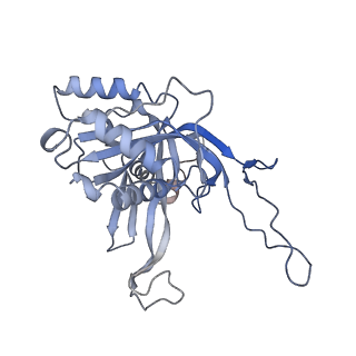 31186_7eln_B_v1-1
Structure of Csy-AcrIF24-dsDNA