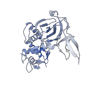 31186_7eln_C_v1-1
Structure of Csy-AcrIF24-dsDNA