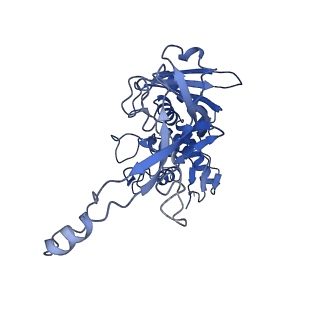 31186_7eln_D_v1-1
Structure of Csy-AcrIF24-dsDNA