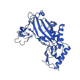31186_7eln_F_v1-1
Structure of Csy-AcrIF24-dsDNA