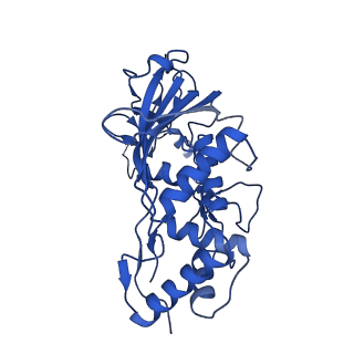 31186_7eln_G_v1-1
Structure of Csy-AcrIF24-dsDNA