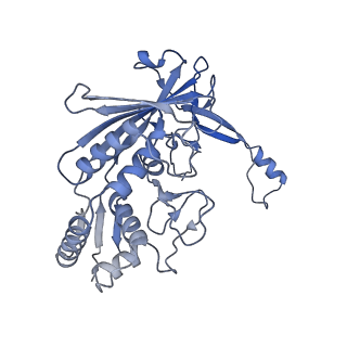 31186_7eln_H_v1-1
Structure of Csy-AcrIF24-dsDNA