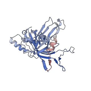 31186_7eln_L_v1-1
Structure of Csy-AcrIF24-dsDNA