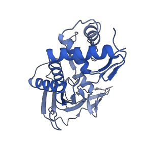 31186_7eln_M_v1-1
Structure of Csy-AcrIF24-dsDNA