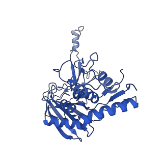 31186_7eln_N_v1-1
Structure of Csy-AcrIF24-dsDNA