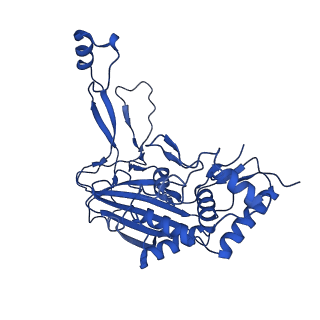 31186_7eln_O_v1-1
Structure of Csy-AcrIF24-dsDNA
