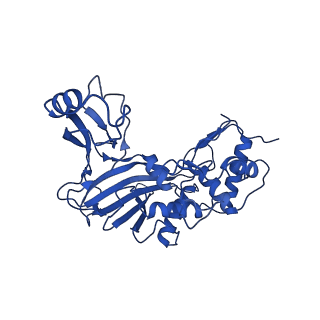 31186_7eln_P_v1-1
Structure of Csy-AcrIF24-dsDNA