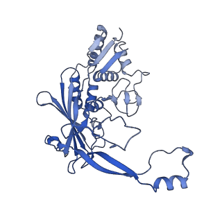 31186_7eln_R_v1-1
Structure of Csy-AcrIF24-dsDNA