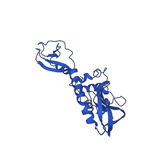 31186_7eln_U_v1-1
Structure of Csy-AcrIF24-dsDNA