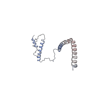 3891_6elz_J_v1-4
State E (TAP-Flag-Ytm1 E80A) - Visualizing the assembly pathway of nucleolar pre-60S ribosomes