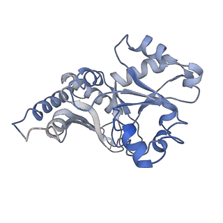 3891_6elz_K_v1-4
State E (TAP-Flag-Ytm1 E80A) - Visualizing the assembly pathway of nucleolar pre-60S ribosomes