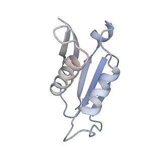 3891_6elz_U_v1-4
State E (TAP-Flag-Ytm1 E80A) - Visualizing the assembly pathway of nucleolar pre-60S ribosomes