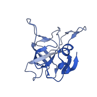 3891_6elz_V_v1-4
State E (TAP-Flag-Ytm1 E80A) - Visualizing the assembly pathway of nucleolar pre-60S ribosomes