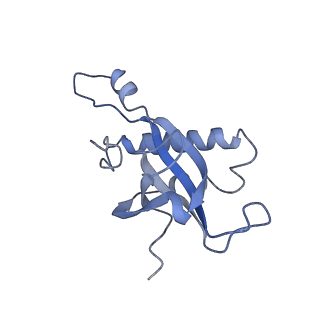 3891_6elz_Z_v1-4
State E (TAP-Flag-Ytm1 E80A) - Visualizing the assembly pathway of nucleolar pre-60S ribosomes
