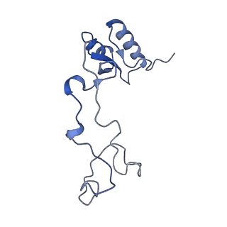 3891_6elz_e_v1-4
State E (TAP-Flag-Ytm1 E80A) - Visualizing the assembly pathway of nucleolar pre-60S ribosomes