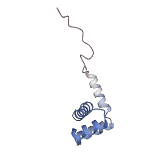 3891_6elz_i_v1-4
State E (TAP-Flag-Ytm1 E80A) - Visualizing the assembly pathway of nucleolar pre-60S ribosomes