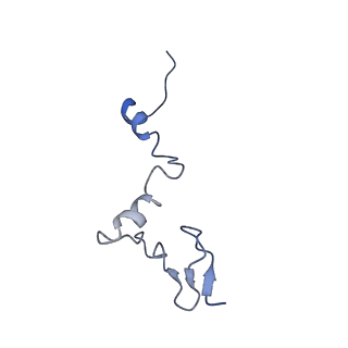 3891_6elz_j_v1-4
State E (TAP-Flag-Ytm1 E80A) - Visualizing the assembly pathway of nucleolar pre-60S ribosomes