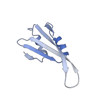 3891_6elz_k_v1-4
State E (TAP-Flag-Ytm1 E80A) - Visualizing the assembly pathway of nucleolar pre-60S ribosomes
