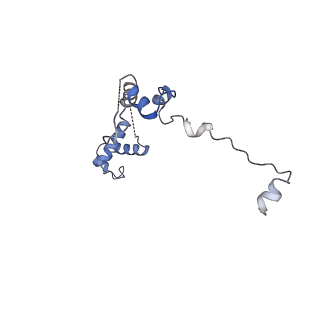 3891_6elz_v_v1-4
State E (TAP-Flag-Ytm1 E80A) - Visualizing the assembly pathway of nucleolar pre-60S ribosomes