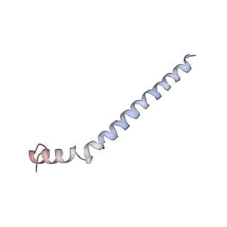 3891_6elz_z_v1-4
State E (TAP-Flag-Ytm1 E80A) - Visualizing the assembly pathway of nucleolar pre-60S ribosomes