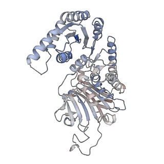 28232_8em2_A_v1-1
Cryo-EM structure of the human GDH/6PGL endoplasmic bifunctional protein