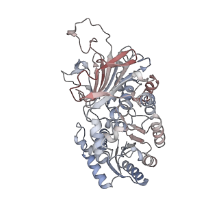 28232_8em2_B_v1-1
Cryo-EM structure of the human GDH/6PGL endoplasmic bifunctional protein