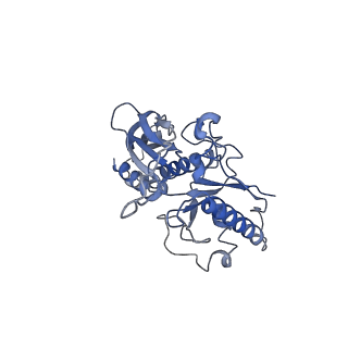 28238_8em6_A_v1-0
Bacteriophage HRP29 Procapsid Icosohedral Reconstruction