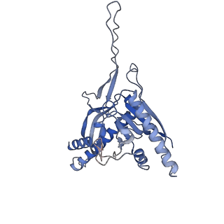 28238_8em6_B_v1-0
Bacteriophage HRP29 Procapsid Icosohedral Reconstruction