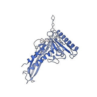 28238_8em6_C_v1-0
Bacteriophage HRP29 Procapsid Icosohedral Reconstruction