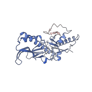 28238_8em6_D_v1-0
Bacteriophage HRP29 Procapsid Icosohedral Reconstruction