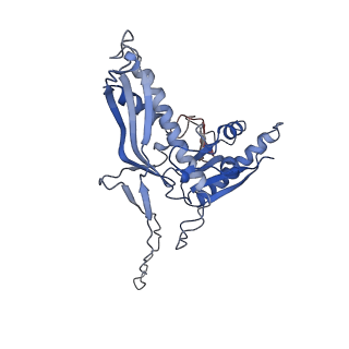28238_8em6_E_v1-0
Bacteriophage HRP29 Procapsid Icosohedral Reconstruction