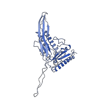 28238_8em6_F_v1-0
Bacteriophage HRP29 Procapsid Icosohedral Reconstruction