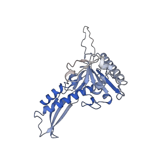 28238_8em6_G_v1-0
Bacteriophage HRP29 Procapsid Icosohedral Reconstruction