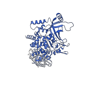 28244_8emc_C_v1-2
CryoEM characterization of BrxL -- a unique AAA+ phage restriction Factor.