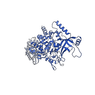 28244_8emc_D_v1-2
CryoEM characterization of BrxL -- a unique AAA+ phage restriction Factor.