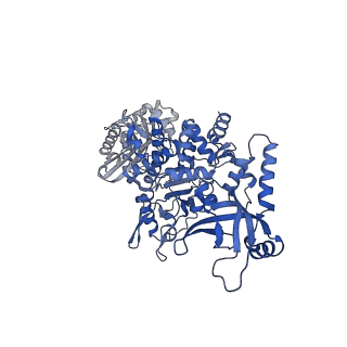 28244_8emc_E_v1-2
CryoEM characterization of BrxL -- a unique AAA+ phage restriction Factor.