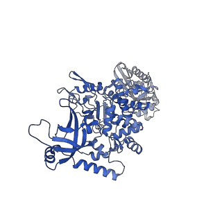 28244_8emc_G_v1-2
CryoEM characterization of BrxL -- a unique AAA+ phage restriction Factor.