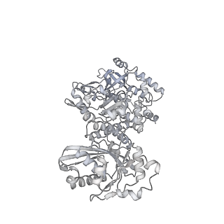 28244_8emc_H_v1-2
CryoEM characterization of BrxL -- a unique AAA+ phage restriction Factor.