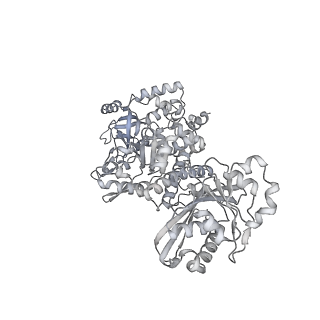 28244_8emc_I_v1-2
CryoEM characterization of BrxL -- a unique AAA+ phage restriction Factor.