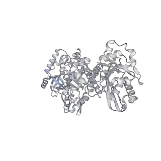 28244_8emc_J_v1-2
CryoEM characterization of BrxL -- a unique AAA+ phage restriction Factor.