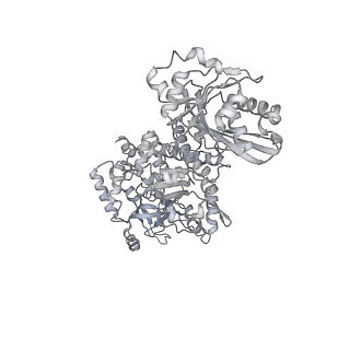28244_8emc_K_v1-2
CryoEM characterization of BrxL -- a unique AAA+ phage restriction Factor.