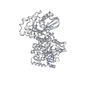 28244_8emc_L_v1-2
CryoEM characterization of BrxL -- a unique AAA+ phage restriction Factor.