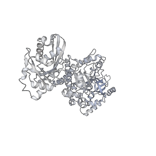 28244_8emc_M_v1-2
CryoEM characterization of BrxL -- a unique AAA+ phage restriction Factor.