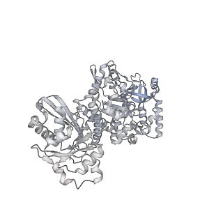 28244_8emc_N_v1-2
CryoEM characterization of BrxL -- a unique AAA+ phage restriction Factor.
