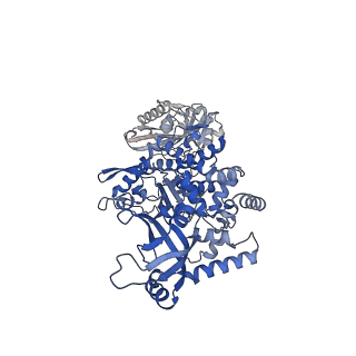 28248_8emh_A_v1-2
CryoEM characterization of a unique AAA+ BrxL phage restriction factor