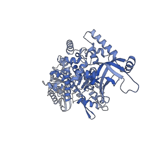 28248_8emh_C_v1-2
CryoEM characterization of a unique AAA+ BrxL phage restriction factor