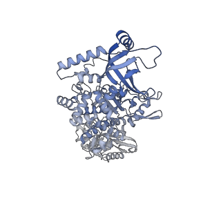 28248_8emh_D_v1-2
CryoEM characterization of a unique AAA+ BrxL phage restriction factor