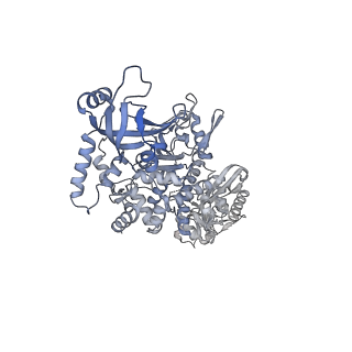 28248_8emh_E_v1-2
CryoEM characterization of a unique AAA+ BrxL phage restriction factor