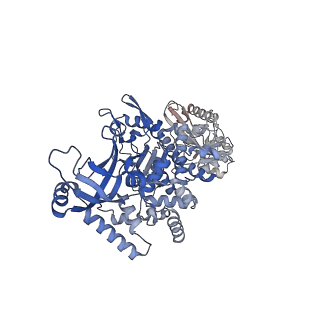 28248_8emh_F_v1-2
CryoEM characterization of a unique AAA+ BrxL phage restriction factor