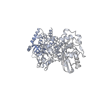 28248_8emh_G_v1-2
CryoEM characterization of a unique AAA+ BrxL phage restriction factor